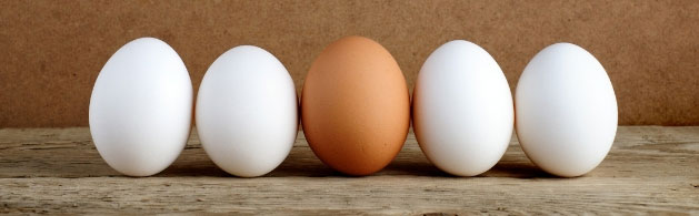 Are brown eggs better for you