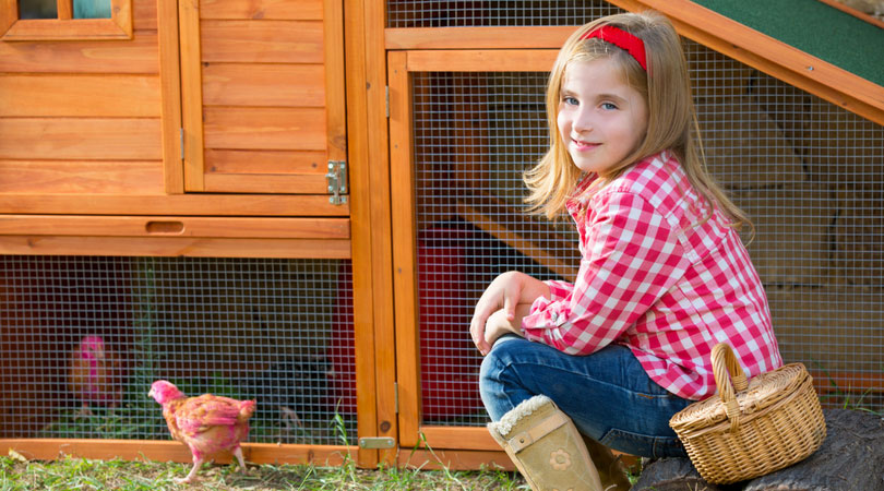 Best ways to clean a chicken coop naturally