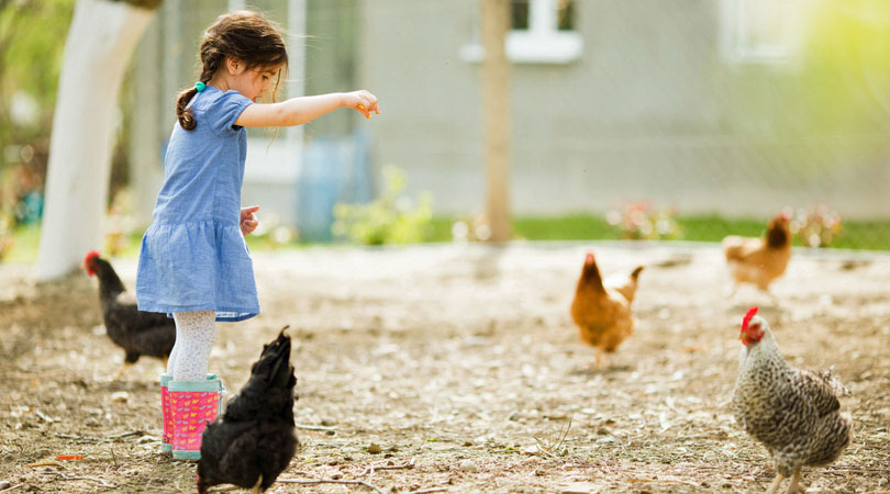 children-with-chicken.jpg